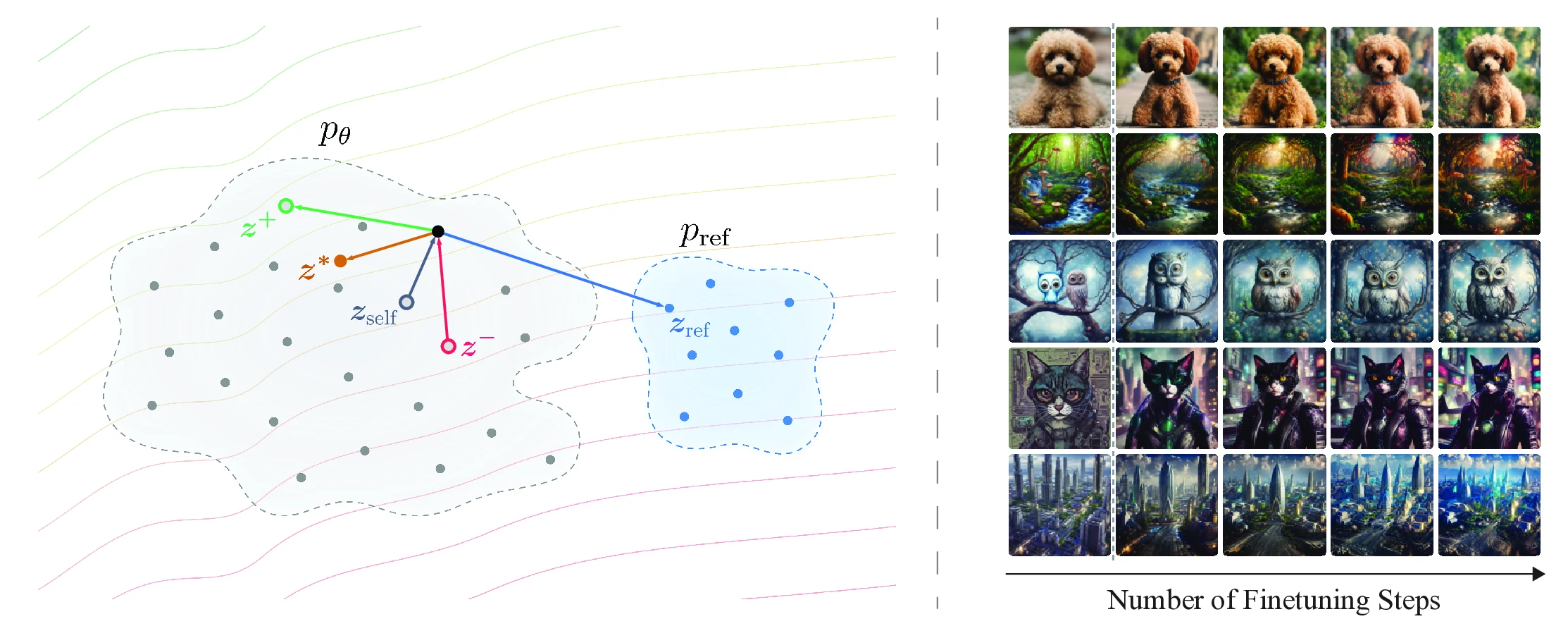 DrPO method overview with a feature-space drift field and fixed-prompt samples across finetuning steps.